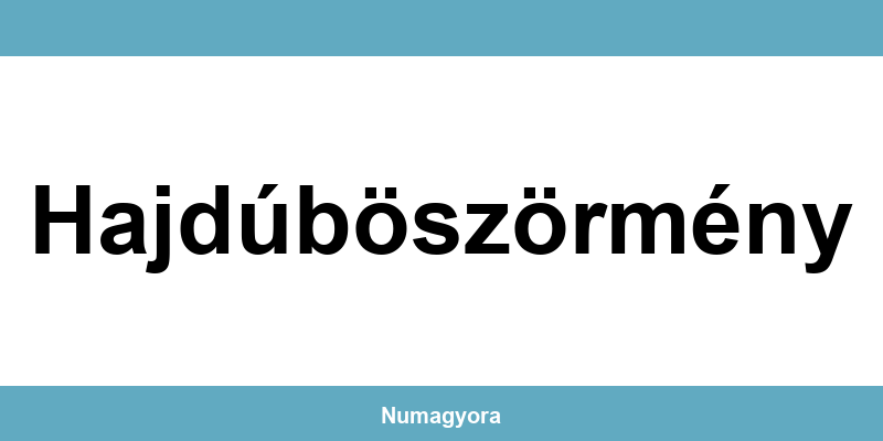 Erste Bank Hajdúböszörmény ATM és időpontfoglalás lehetőségek
